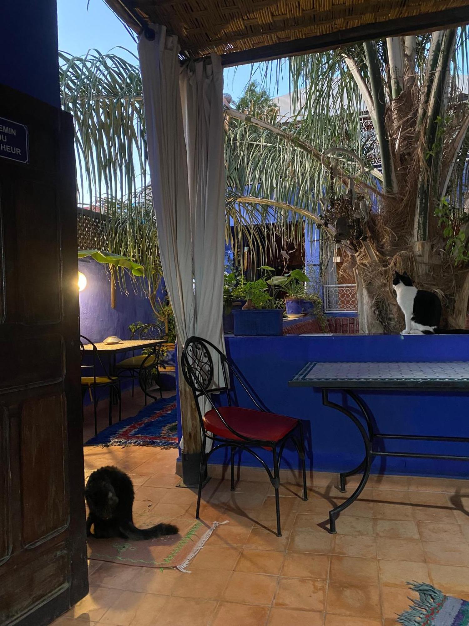 Riad Alamine Marrakesh Extérieur photo