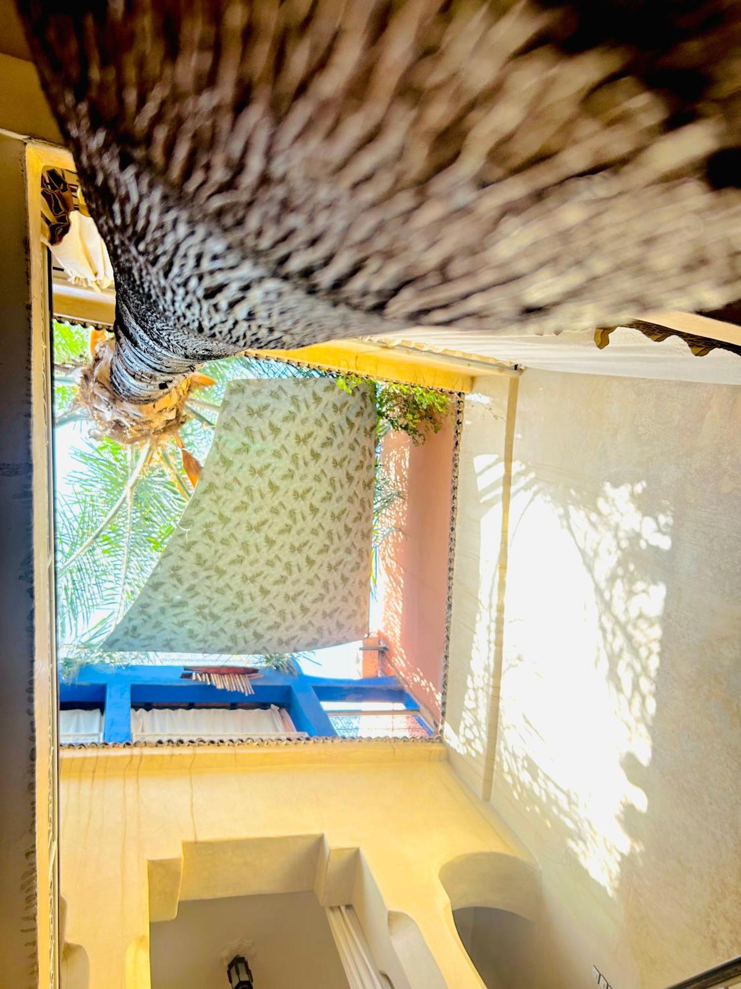 Riad Alamine Marrakesh Extérieur photo