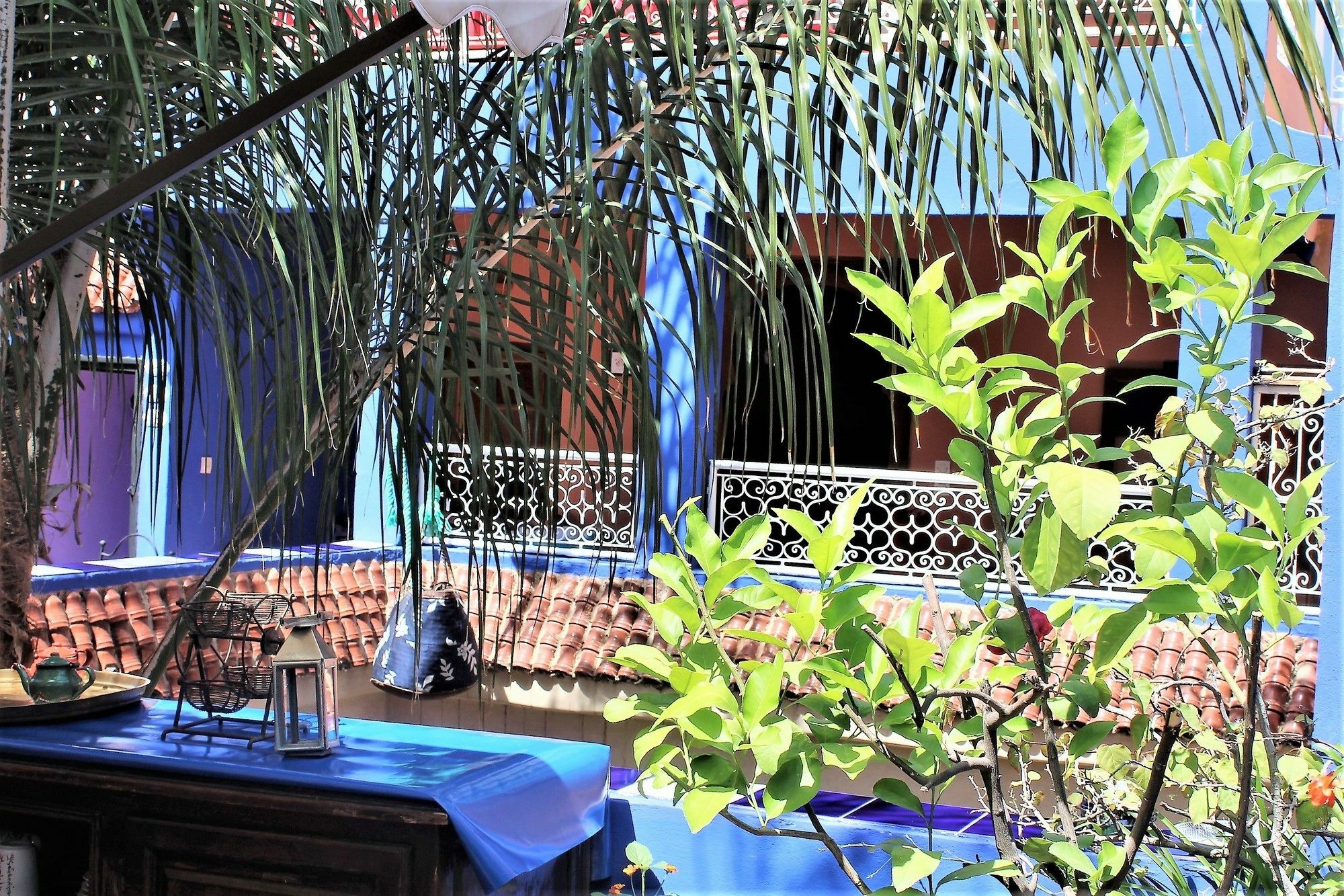 Riad Alamine Marrakesh Extérieur photo